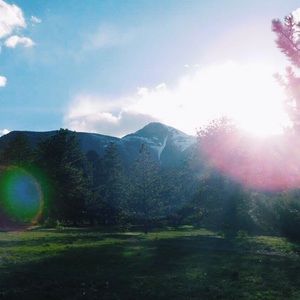 Meet your Posher, Annie